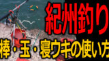 ウキなし紀州釣り 簡単な爆弾釣りでチヌを釣ろう 釣りとキャンプのマガジンblue S