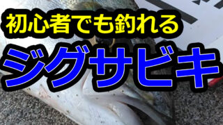 ジグサビキ釣りとは 釣れる時期や仕掛けアクションなど簡単に解説 釣りとキャンプのマガジンblue S