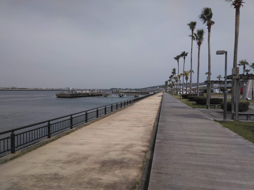 浜名湖でジグサビキ釣り どこで釣れる 仕掛けは 釣れる魚を紹介します 釣りとキャンプのマガジンblue S