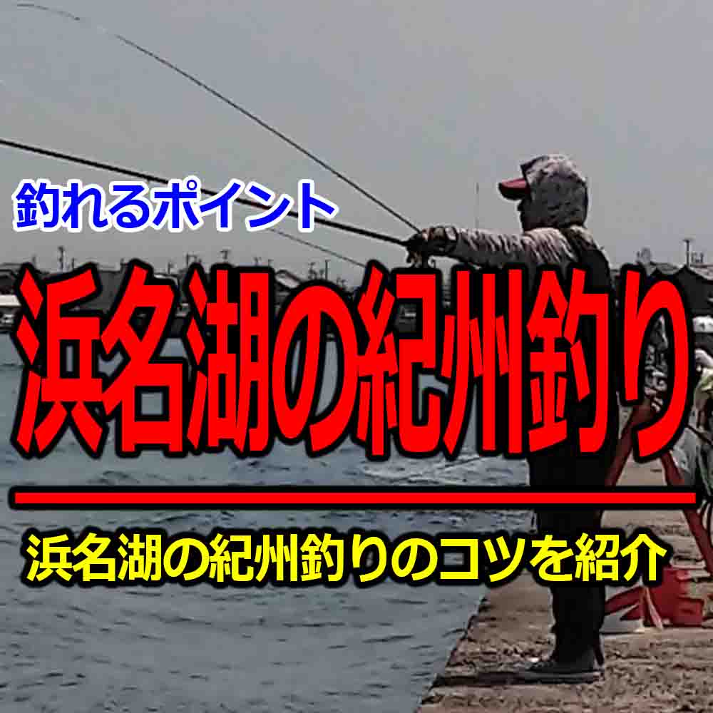 浜名湖で紀州釣りをするポイント クロダイ釣りはココで釣れる 釣りとキャンプのマガジンblue S