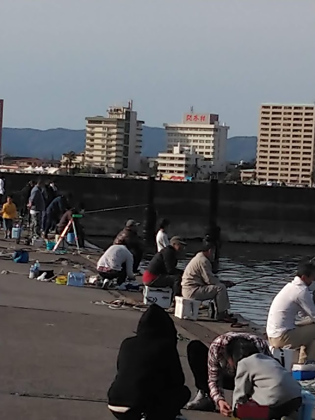 浜名湖で紀州釣りをするポイント クロダイ釣りはココで釣れる 釣りとキャンプのマガジンblue S