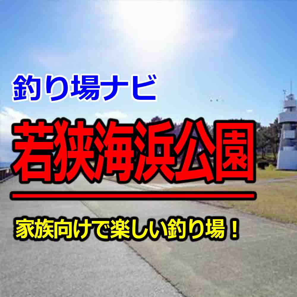 若狭海浜公園で釣りはサビキが楽しい 家族向けの釣り場でレンタルもあるぞ 釣りとキャンプのマガジンblue S