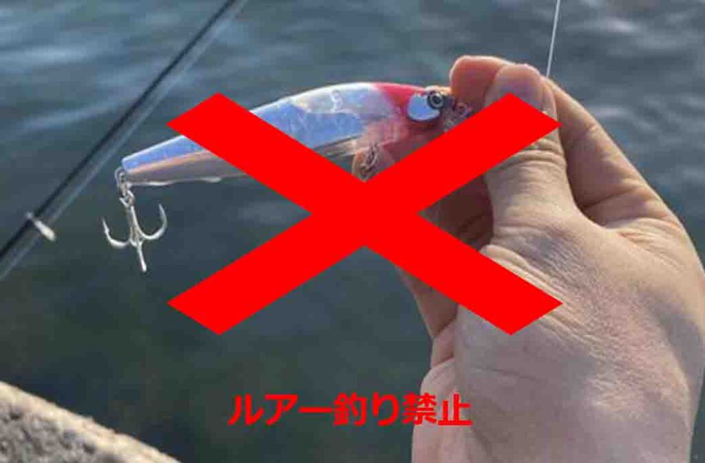 お台場海浜公園の釣りはハゼが面白い レンタルやルアー情報まで 釣りとキャンプのマガジンblue S