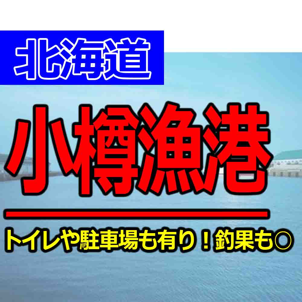 古平漁港で釣れる魚と釣り場ナビ マイカやホッケやソイの釣果が凄い 釣りとキャンプのマガジンblue S