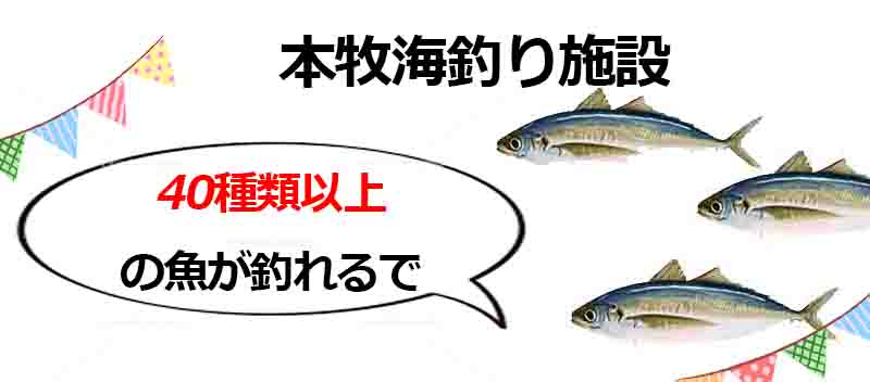 本牧海釣り施設の釣りはサビキが熱い ポイントや釣果や釣り方を紹介 釣りとキャンプのマガジンblue S