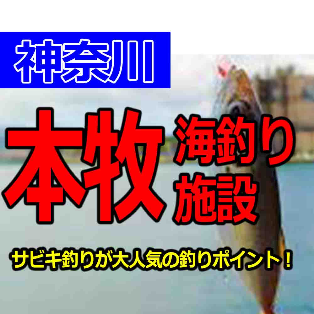 本牧海釣り施設の釣りはサビキが熱い ポイントや釣果や釣り方を紹介 釣りとキャンプのマガジンblue S