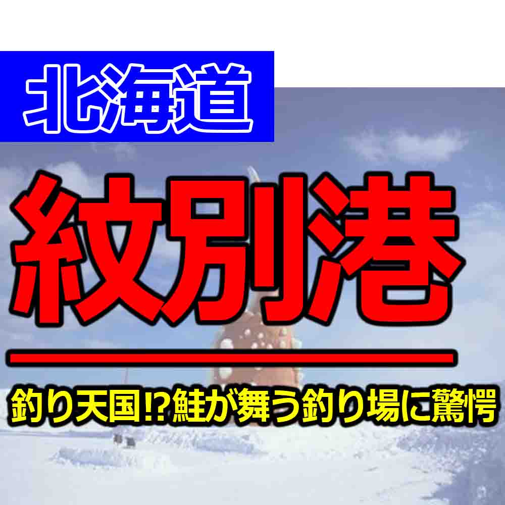 紋別港は釣り天国 釣果や釣り場を紹介 鮭やアメマスやアブラコが釣れる 釣りとキャンプのマガジンblue S