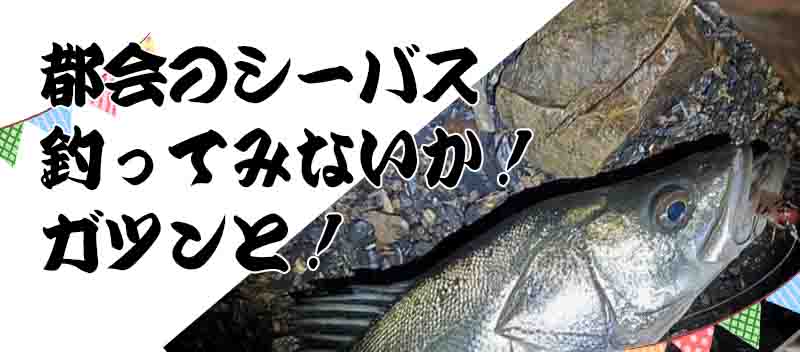 ポートサイド公園の釣り 横浜駅近くでルアーが面白い サビキ釣りも 釣りとキャンプのマガジンblue S