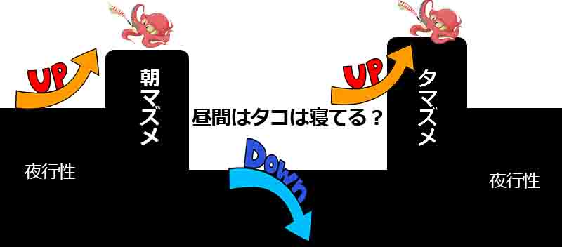 タコの釣り方を初心者さんに解説 タコエギやタコジグは面白いぞ 釣りとキャンプのマガジンblue S