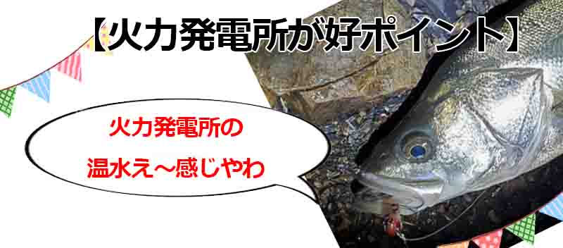 根岸港で釣り 混雑知らずでアジやメバルが釣れる 駐車場やポイントを紹介 釣りとキャンプのマガジンblue S
