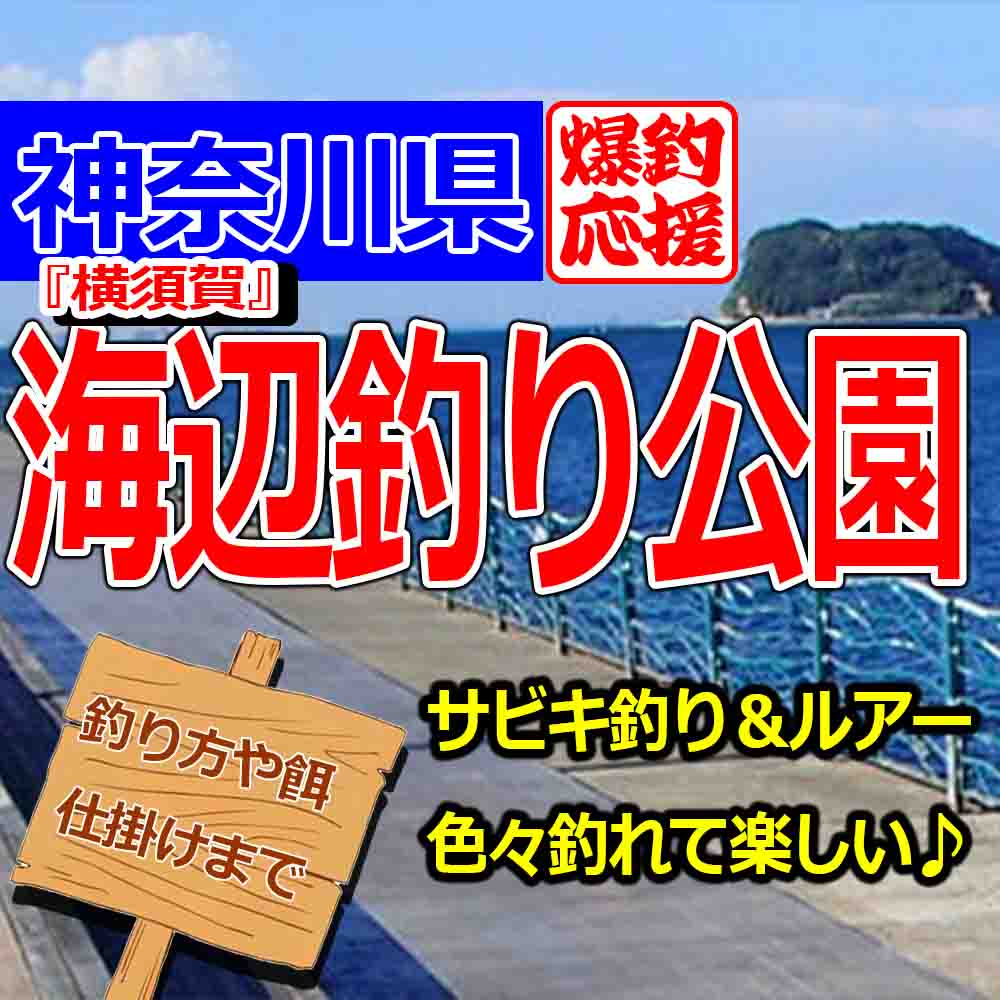 横須賀海辺つり公園のサビキ釣果 ルアーで大サバやタチウオも釣れる 釣りとキャンプのマガジンblue S