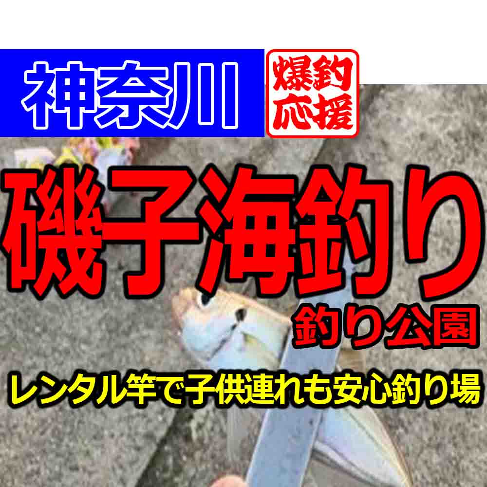 磯子海づり施設は初心者も釣れるぞ レンタル竿の釣り方やポイントを解説 釣りとキャンプのマガジンblue S