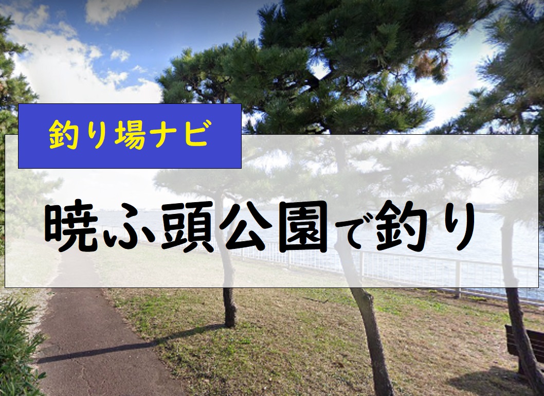 暁ふ頭公園で釣り シーバスの釣果がすごいぞ サビキでアジのポイントも 釣りとキャンプのマガジンblue S