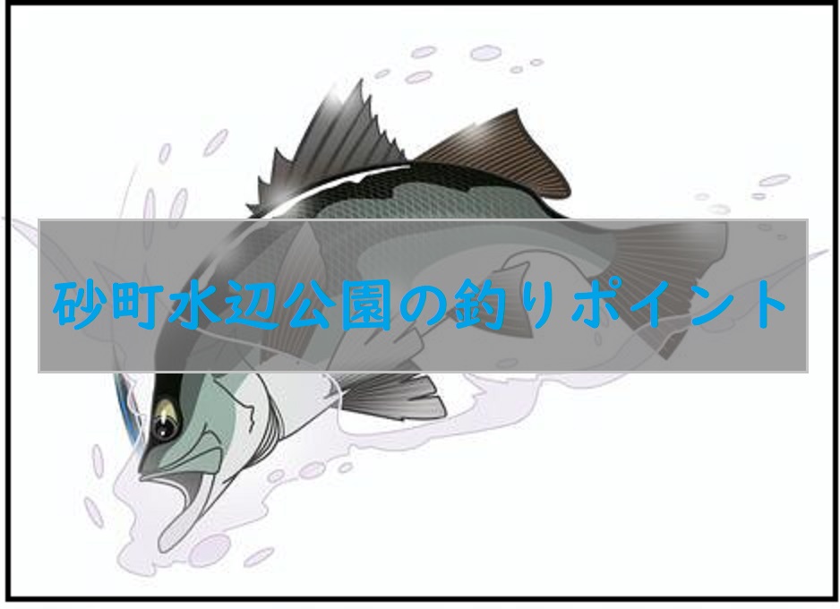 砂町水辺公園の釣果 荒川河口のシーバスポイント 駐車場や釣り方紹介 釣りとキャンプのマガジンblue S