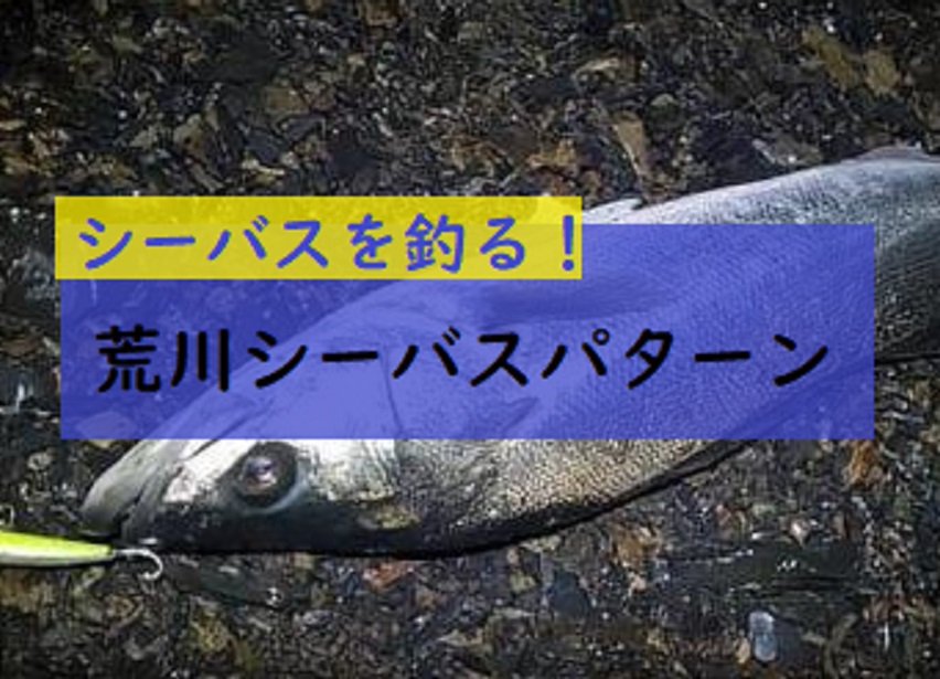 荒川 東京湾のシーバスパターン 先ずは1匹 釣れるルアーも紹介 釣りとキャンプのマガジンblue S