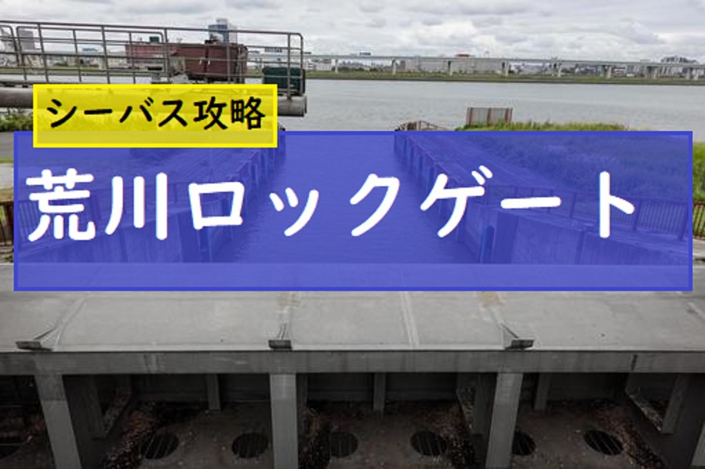 荒川ロックフィッシュで釣り シーバス攻略の釣り方やポイント紹介 釣りとキャンプのマガジンblue S