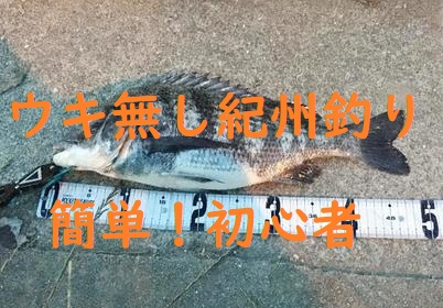 紀州釣りウキ無しなら初心者でもチヌ クロダイが釣れる 簡単解説 釣りとキャンプのマガジンblue S