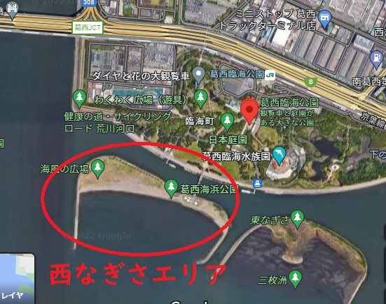 葛西臨海公園は釣り場はルアーもok おすめポイントと釣果や釣り方を伝授 釣りとキャンプのマガジンblue S