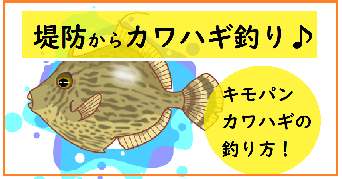 堤防からカワハギの釣り方 胴付き仕掛けで肝パン レシピや食べ方も 釣りとキャンプのマガジンblue S