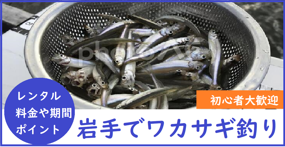 岩手県ワカサギ釣り 釣り場や期間やレンタル料金を紹介 ワカサギ釣りって面白い 釣りとキャンプのマガジンblue S