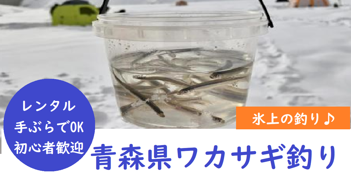 青森のワカサギ釣り 氷上の釣りが出来るポイント 時期やレンタルを紹介 釣りとキャンプのマガジンblue S