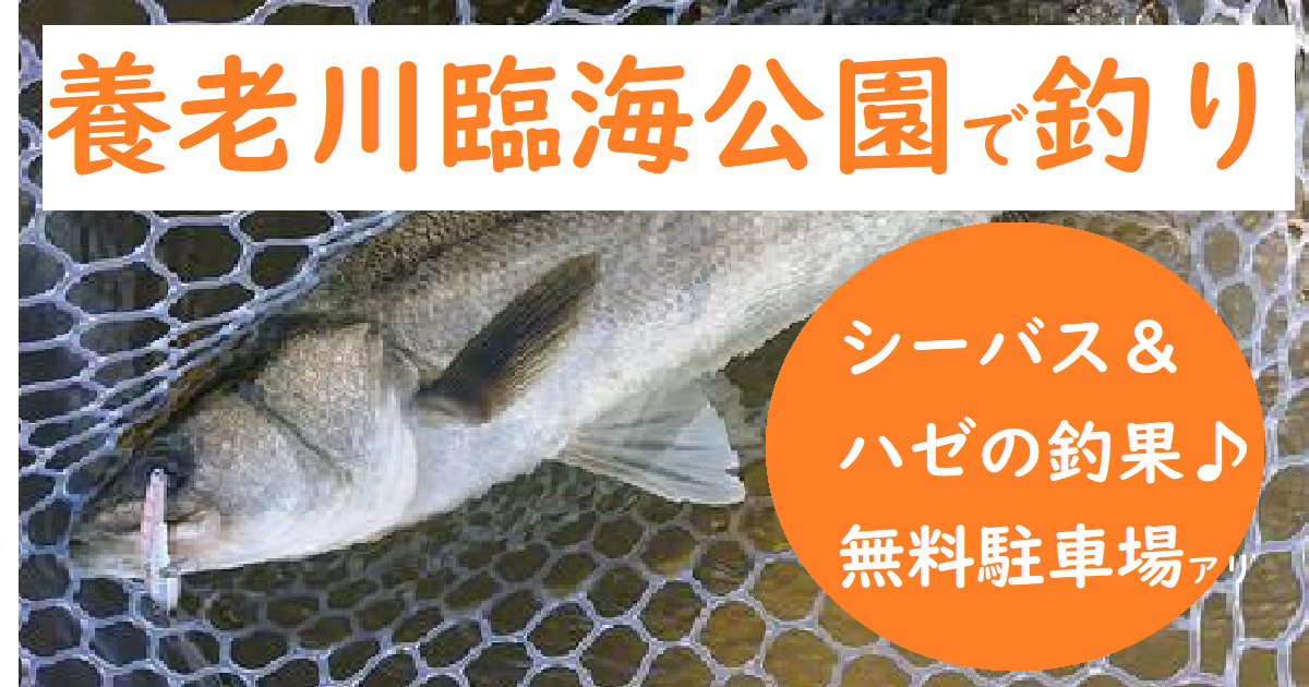 養老川臨海公園で釣り シーバスの釣果 無限ハゼ釣りが熱いぞ 釣りとキャンプのマガジンblue S