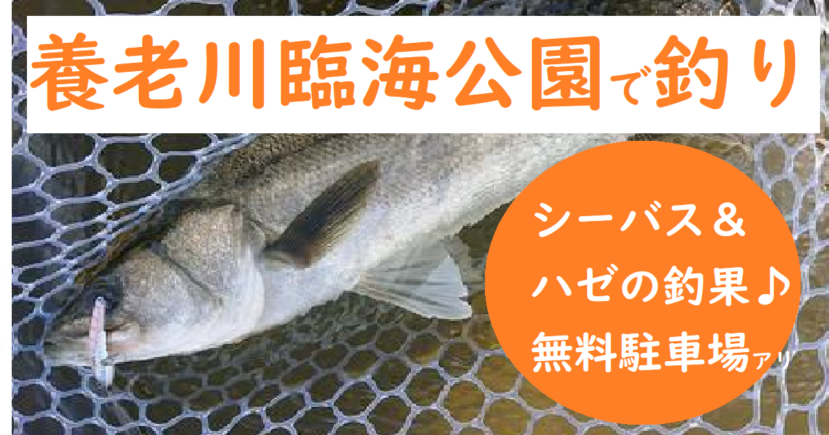 釣果一覧】神奈川県で釣れたマハゼ - アングラーズ