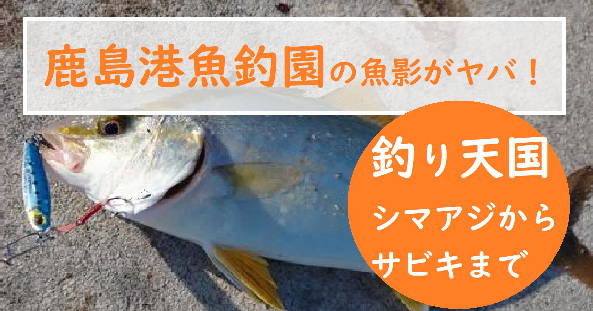 鹿島港魚釣園の釣果 アジ釣り仕掛けやルアー釣りのカンパチまでカワハギも釣れる 釣りとキャンプのマガジンblue S