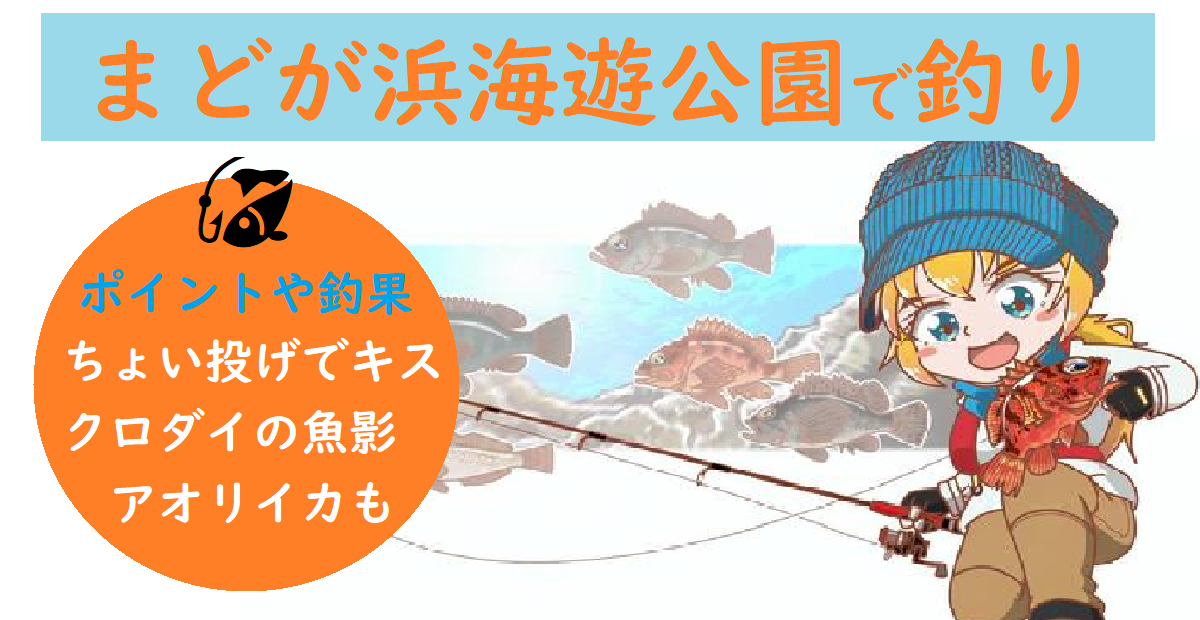 まどが浜海遊公園で釣り 釣り場や仕掛けの紹介 キスの釣果が凄い アオリイカも釣れちゃうぞ 釣りとキャンプのマガジンblue S