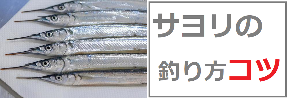 サヨリの釣り方 時期やエサや仕掛け コツを掴めば初心者でも爆釣できる 釣りとキャンプのマガジンblue S サヨリの釣り方 時期やエサや仕掛け コツを掴めば初心者でも爆釣できる 釣りとキャンプのマガジンblue S