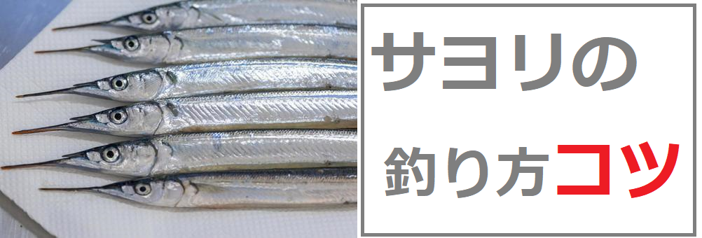 サヨリの釣り方 時期やエサや仕掛け コツを掴めば初心者でも爆釣できる 釣りとキャンプのマガジンblue S