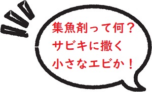 サヨリの釣り方 時期やエサや仕掛け コツを掴めば初心者でも爆釣できる 釣りとキャンプのマガジンblue S