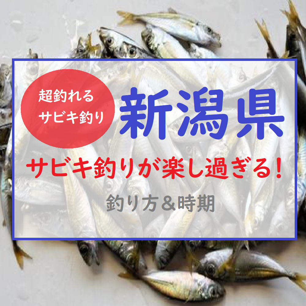 午後の釣果｜直江津港第３東防波堤 管理釣り場｜NPO法人ハッピー